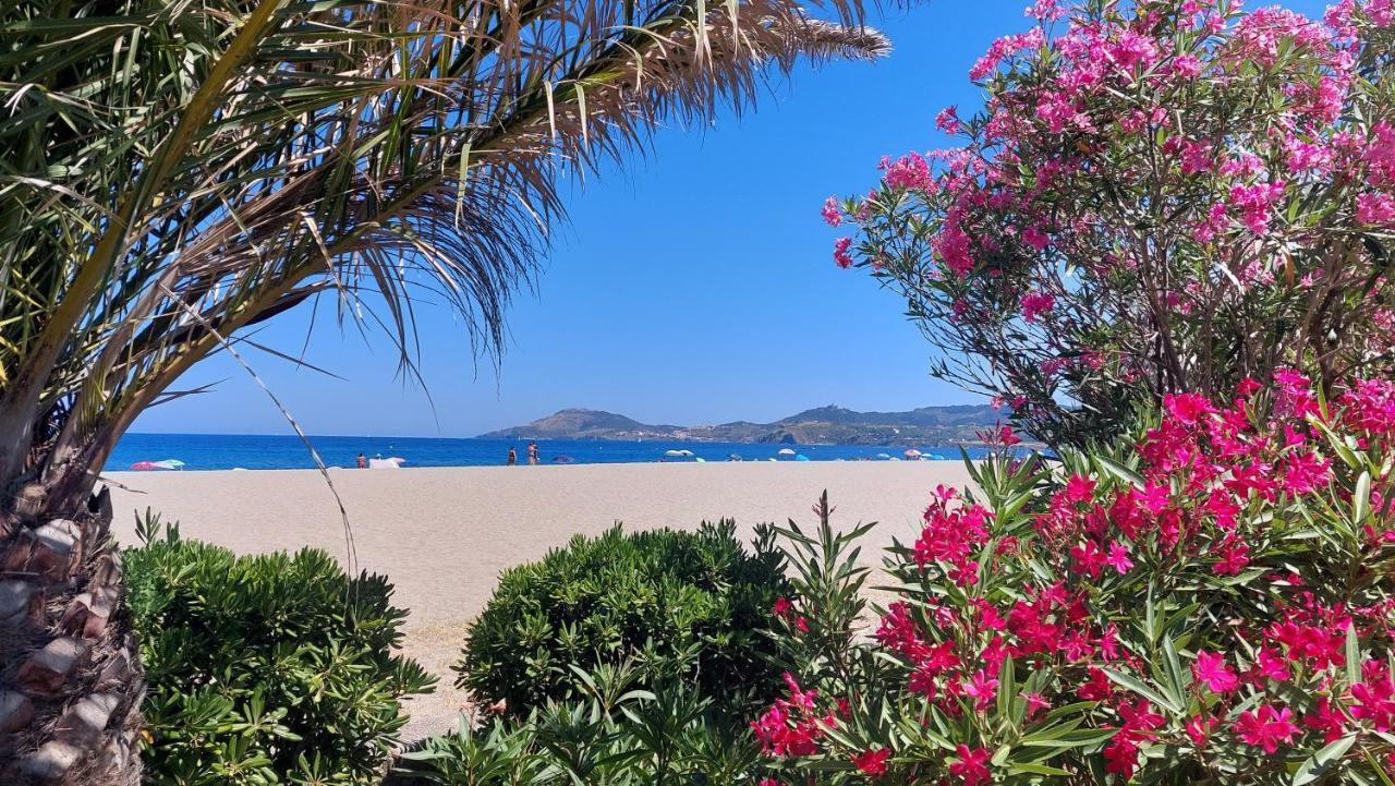 Sur La Plage, Super Studio Avec Vue Sur La Mer Plage dʼArgelès Buitenkant foto