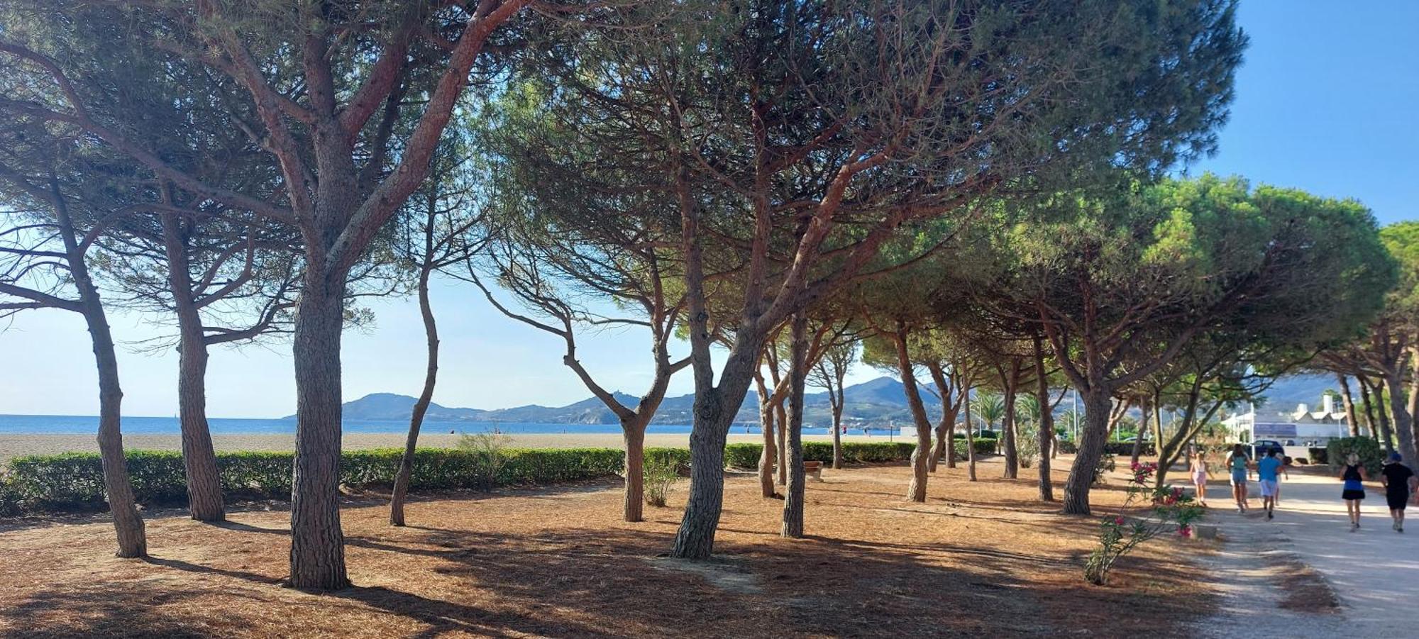 Sur La Plage, Super Studio Avec Vue Sur La Mer Plage dʼArgelès Buitenkant foto