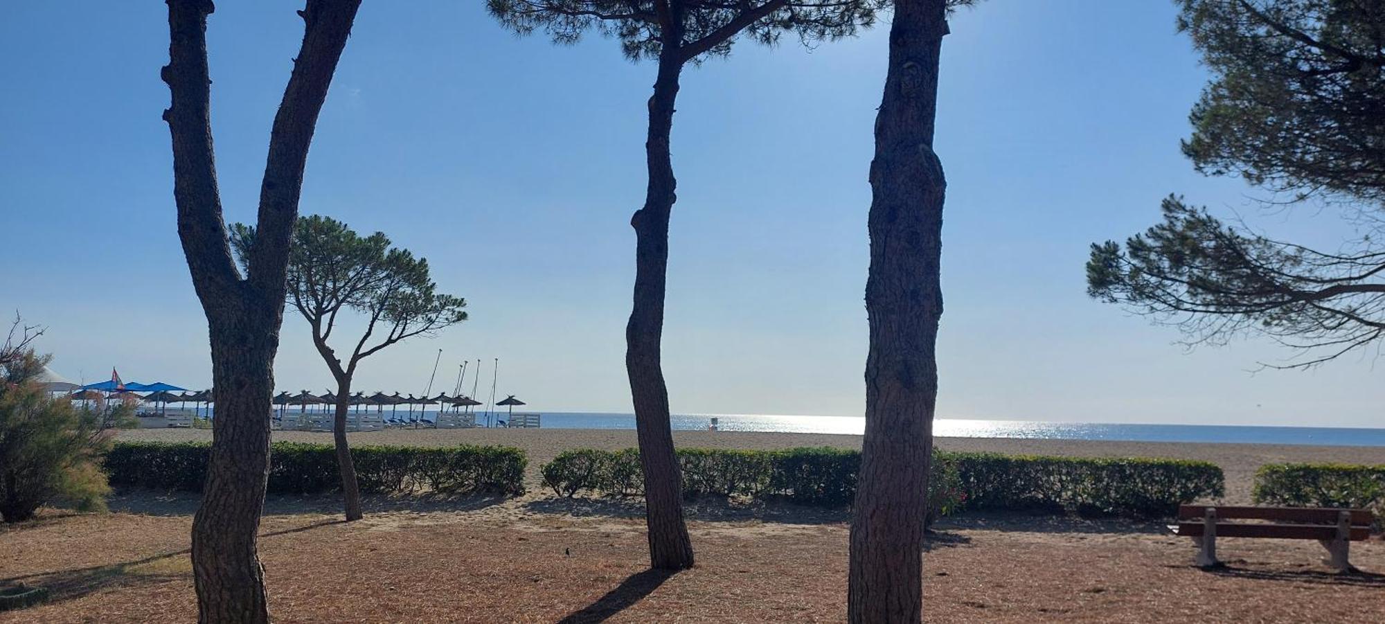 Sur La Plage, Super Studio Avec Vue Sur La Mer Plage dʼArgelès Buitenkant foto